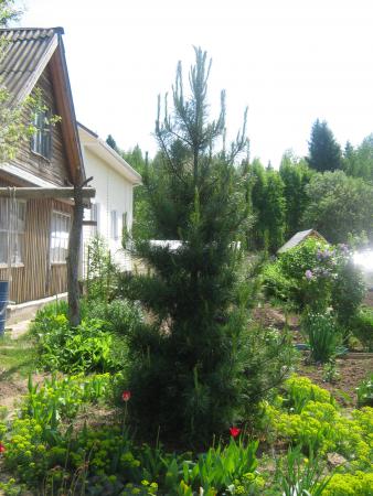 Название: Изображение 019.jpg
Просмотров: 686
Размер: 34.6 Кб