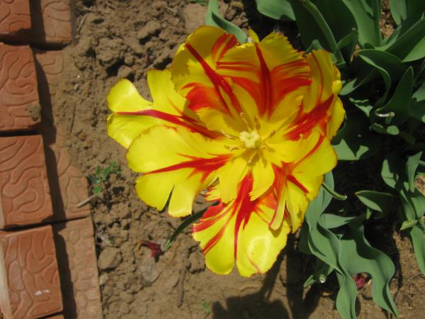 Название: Изображение 023.jpg
Просмотров: 766
Размер: 46.5 Кб