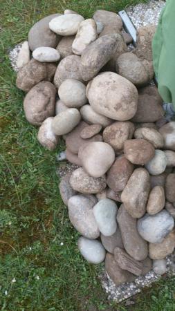 Название: DSC_0002.jpg
Просмотров: 650
Размер: 26.5 Кб