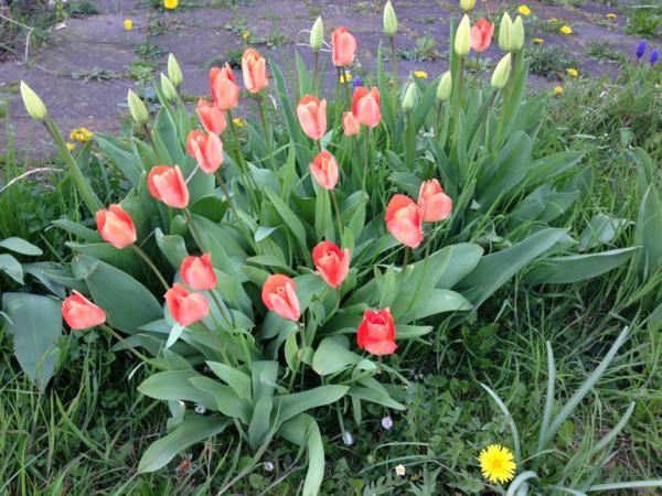 Название: IMG_4167.jpg
Просмотров: 1029
Размер: 65.8 Кб