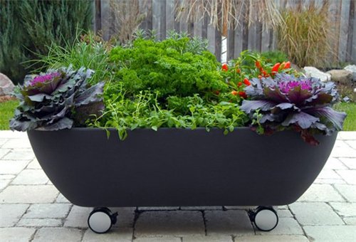 Название: 667dc6a7ca40.jpg
Просмотров: 4056
Размер: 44.3 Кб