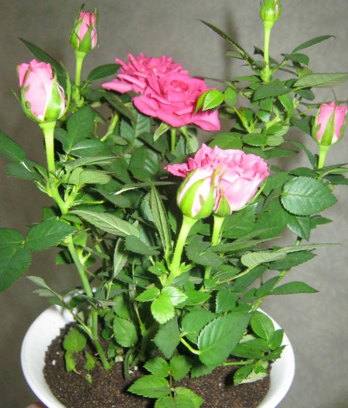 Название: IMG_1163.jpg
Просмотров: 3045
Размер: 91.7 Кб