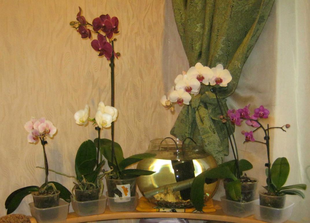 Название: IMG_0939.jpg
Просмотров: 3234
Размер: 91.7 Кб