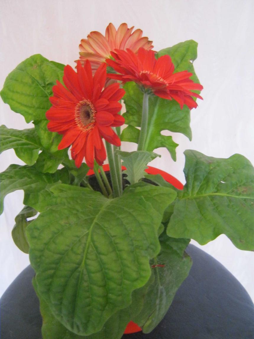 Название: IMG_1293.jpg
Просмотров: 3054
Размер: 85.6 Кб