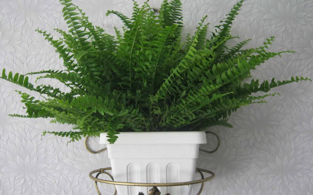 Название: IMG_1152.jpg
Просмотров: 1468
Размер: 95.9 Кб