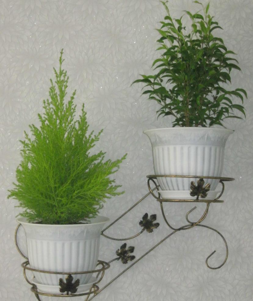 Название: IMG_1153.jpg
Просмотров: 1673
Размер: 87.5 Кб