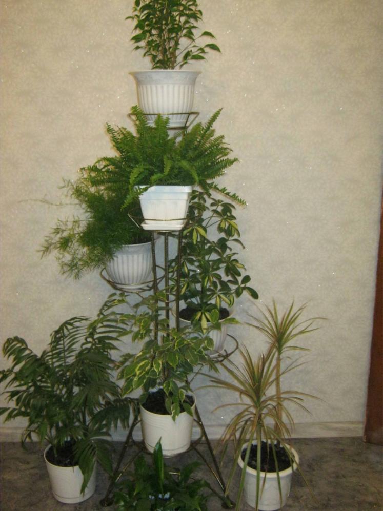 Название: IMG_1280.jpg
Просмотров: 1200
Размер: 91.0 Кб