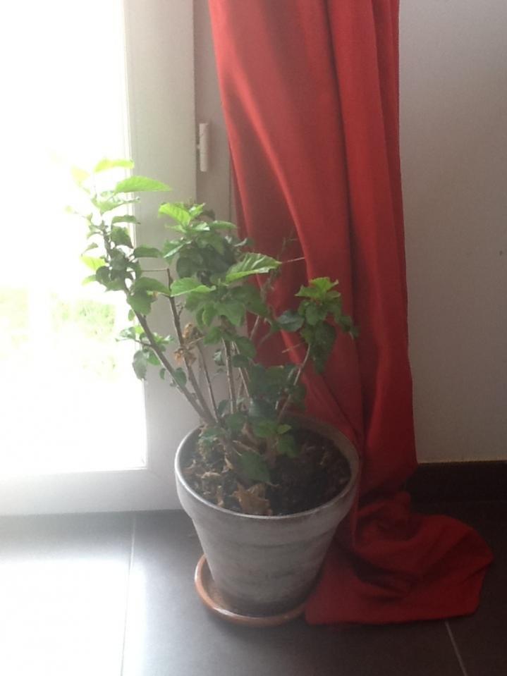 Название: image.jpg
Просмотров: 1796
Размер: 41.8 Кб