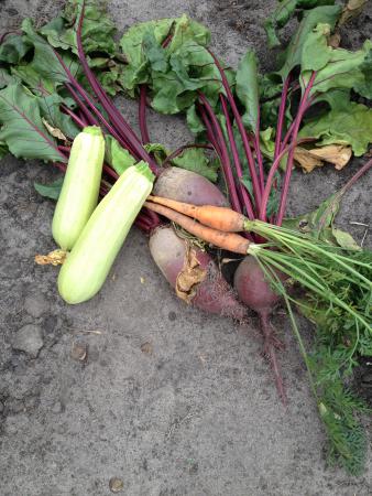 Название: IMG_5169.jpg
Просмотров: 964
Размер: 39.1 Кб