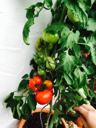 Название: image.jpg
Просмотров: 1001
Размер: 35.4 Кб