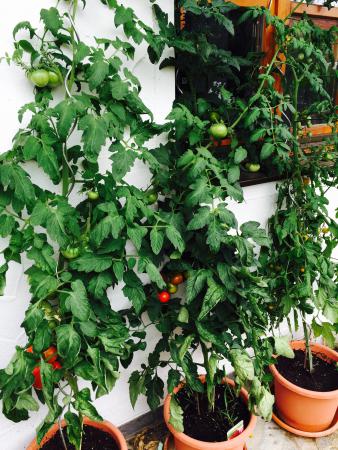 Название: image.jpg
Просмотров: 1041
Размер: 49.3 Кб