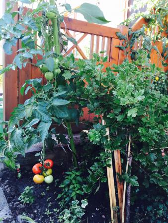 Название: image.jpg
Просмотров: 777
Размер: 45.9 Кб