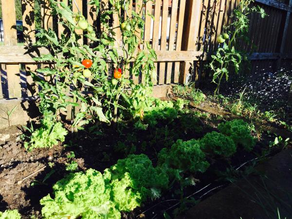 Название: image.jpg
Просмотров: 751
Размер: 84.0 Кб