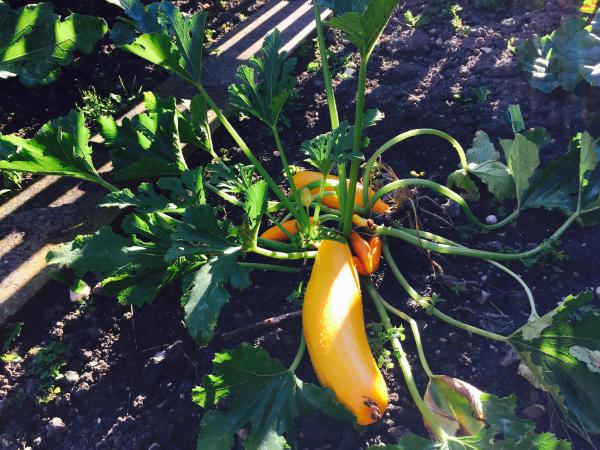 Название: image.jpg
Просмотров: 767
Размер: 68.4 Кб