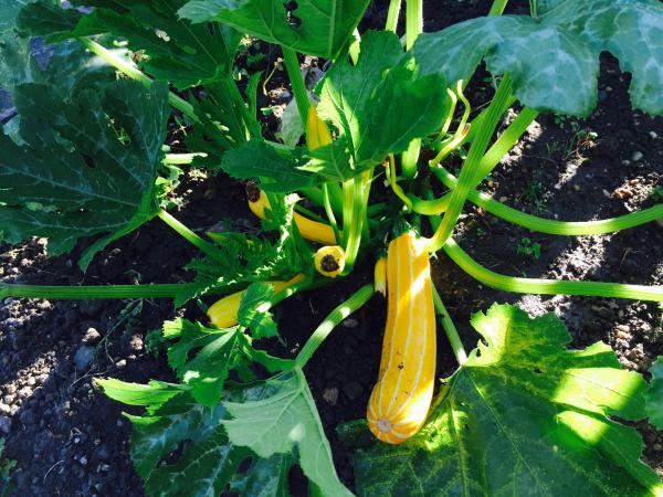 Название: image.jpg
Просмотров: 786
Размер: 67.7 Кб