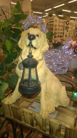 Название: 1 (1).jpg
Просмотров: 6042
Размер: 24.2 Кб