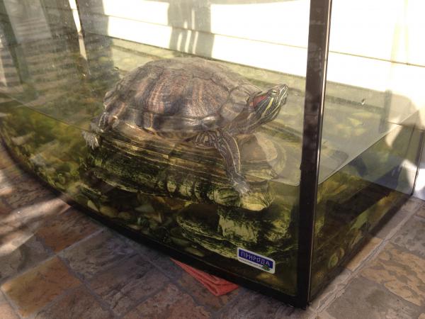 Название: IMG_9696.jpg
Просмотров: 768
Размер: 41.1 Кб