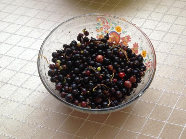 Название: IMG_9717.jpg
Просмотров: 606
Размер: 48.5 Кб