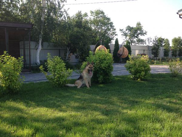 Название: IMG_9708.jpg
Просмотров: 582
Размер: 60.2 Кб