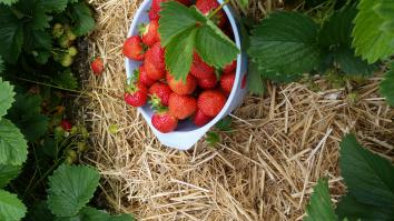 Название: IMG-20160620-WA0014.jpg
Просмотров: 632
Размер: 20.9 Кб