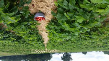 Название: IMG-20160620-WA0017.jpg
Просмотров: 818
Размер: 20.9 Кб