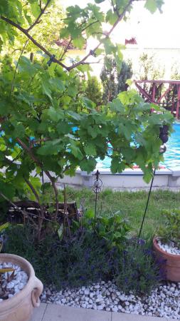 Название: IMG-20160622-WA0028.jpg
Просмотров: 657
Размер: 30.3 Кб