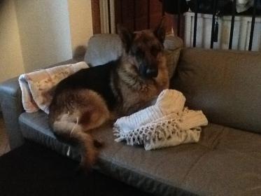 Название: image.jpg
Просмотров: 637
Размер: 14.6 Кб