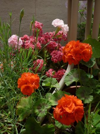 Название: P1260738.jpg
Просмотров: 866
Размер: 33.4 Кб