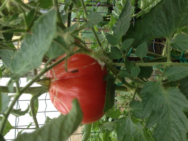 Название: image.jpg
Просмотров: 914
Размер: 41.7 Кб