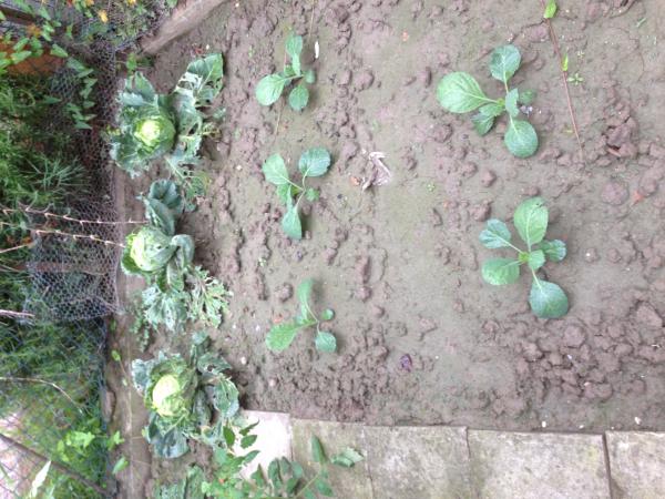 Название: image.jpg
Просмотров: 911
Размер: 59.7 Кб