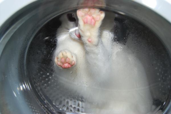 Название: DSC_0026.jpg
Просмотров: 774
Размер: 23.8 Кб