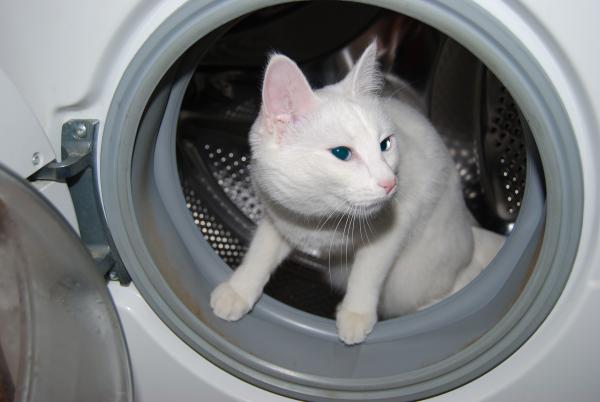 Название: DSC_0027.jpg
Просмотров: 804
Размер: 27.2 Кб