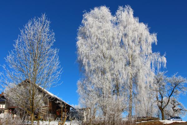 Название: image.jpg
Просмотров: 774
Размер: 59.1 Кб