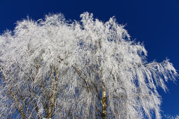 Название: image.jpg
Просмотров: 754
Размер: 70.0 Кб