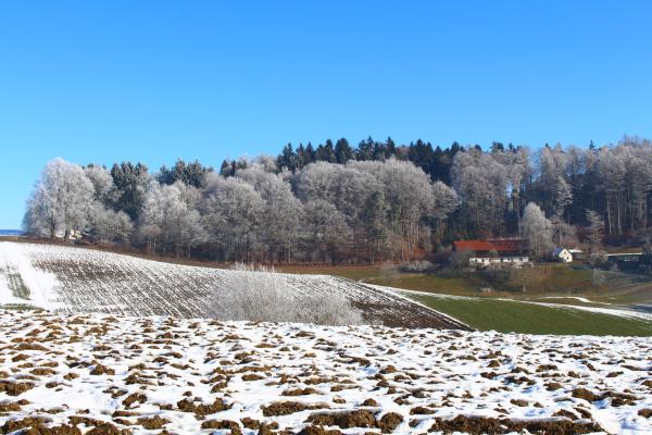 Название: image.jpg
Просмотров: 780
Размер: 51.2 Кб