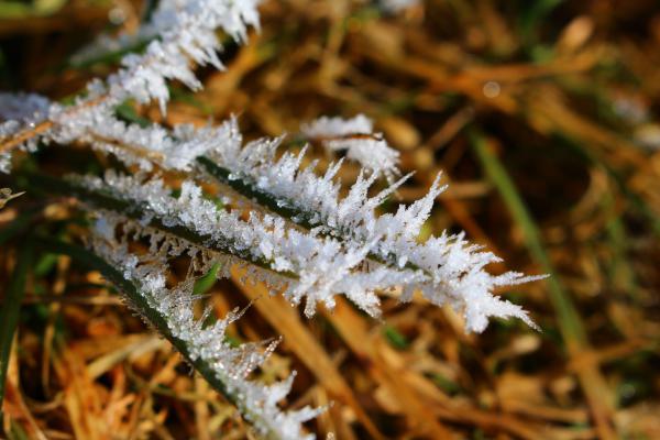 Название: image.jpg
Просмотров: 772
Размер: 40.1 Кб