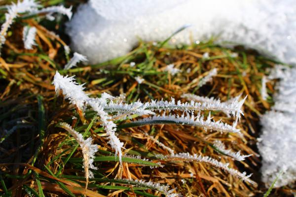 Название: image.jpg
Просмотров: 787
Размер: 50.8 Кб