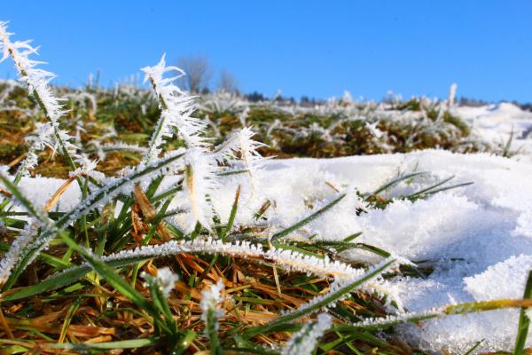 Название: image.jpg
Просмотров: 761
Размер: 50.3 Кб