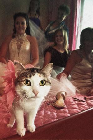 Название: DSC_0229.jpg
Просмотров: 746
Размер: 23.1 Кб