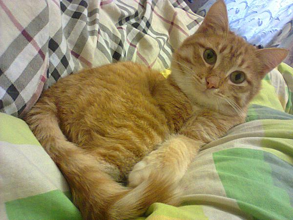 Название: Фото0069.jpg
Просмотров: 754
Размер: 52.4 Кб