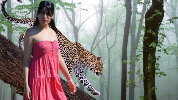 Название: jungla letka..jpg
Просмотров: 798
Размер: 45.3 Кб