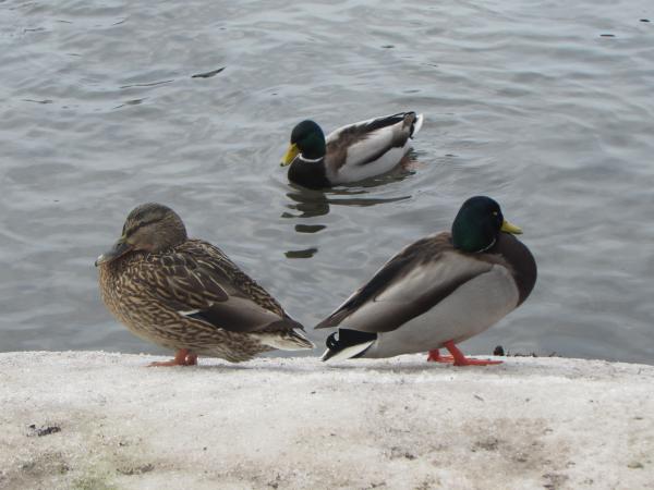 Название: IMG_0657.jpg
Просмотров: 766
Размер: 35.5 Кб