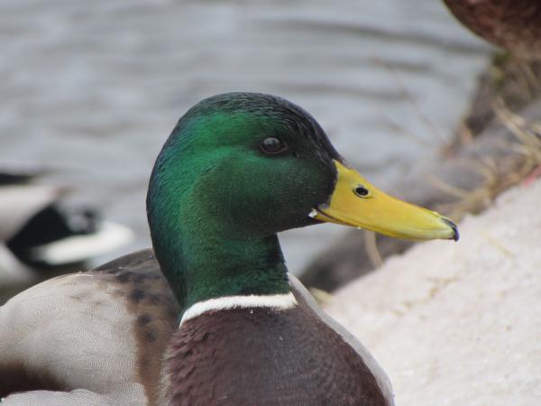 Название: IMG_0693.jpg
Просмотров: 758
Размер: 26.5 Кб