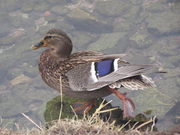 Название: IMG_0733.jpg
Просмотров: 762
Размер: 41.2 Кб