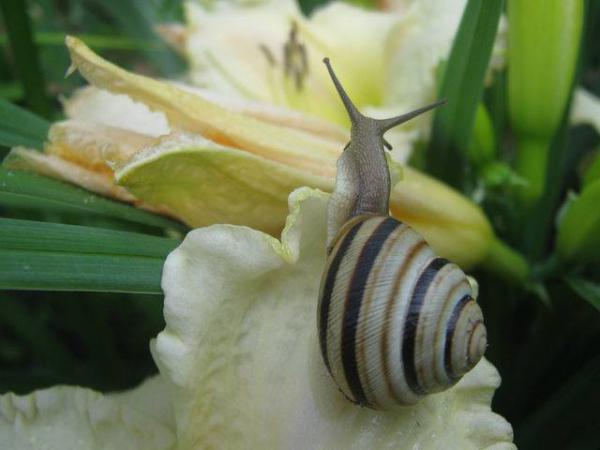 Название: 1724173_446125365513805_380013903_n.jpg
Просмотров: 674
Размер: 28.0 Кб