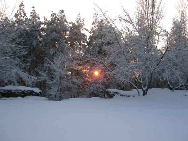 Название: IMG_1097.jpg
Просмотров: 551
Размер: 49.8 Кб