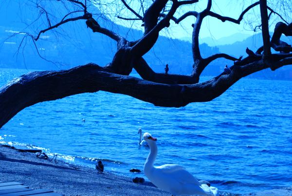 Название: DSC_9304.jpg
Просмотров: 697
Размер: 53.7 Кб