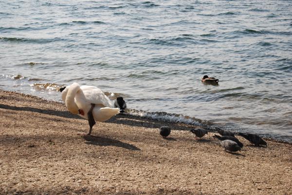 Название: DSC_9293.jpg
Просмотров: 698
Размер: 65.0 Кб