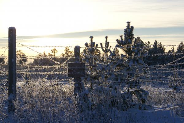 Название: 087.jpg
Просмотров: 1187
Размер: 48.3 Кб