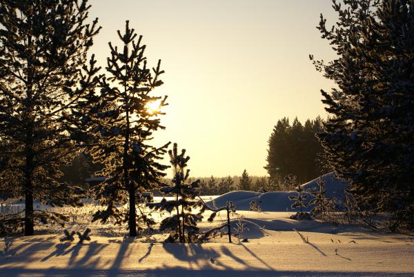 Название: DSC08051.jpg
Просмотров: 1205
Размер: 60.6 Кб